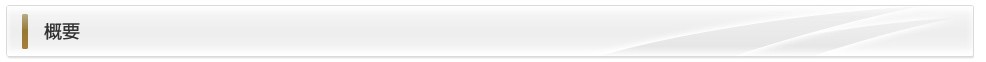 概要
