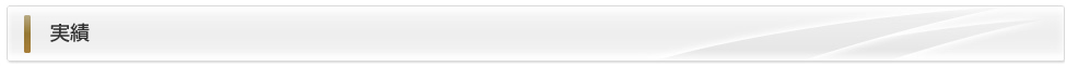 実績